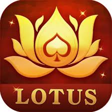 teen patti colour download